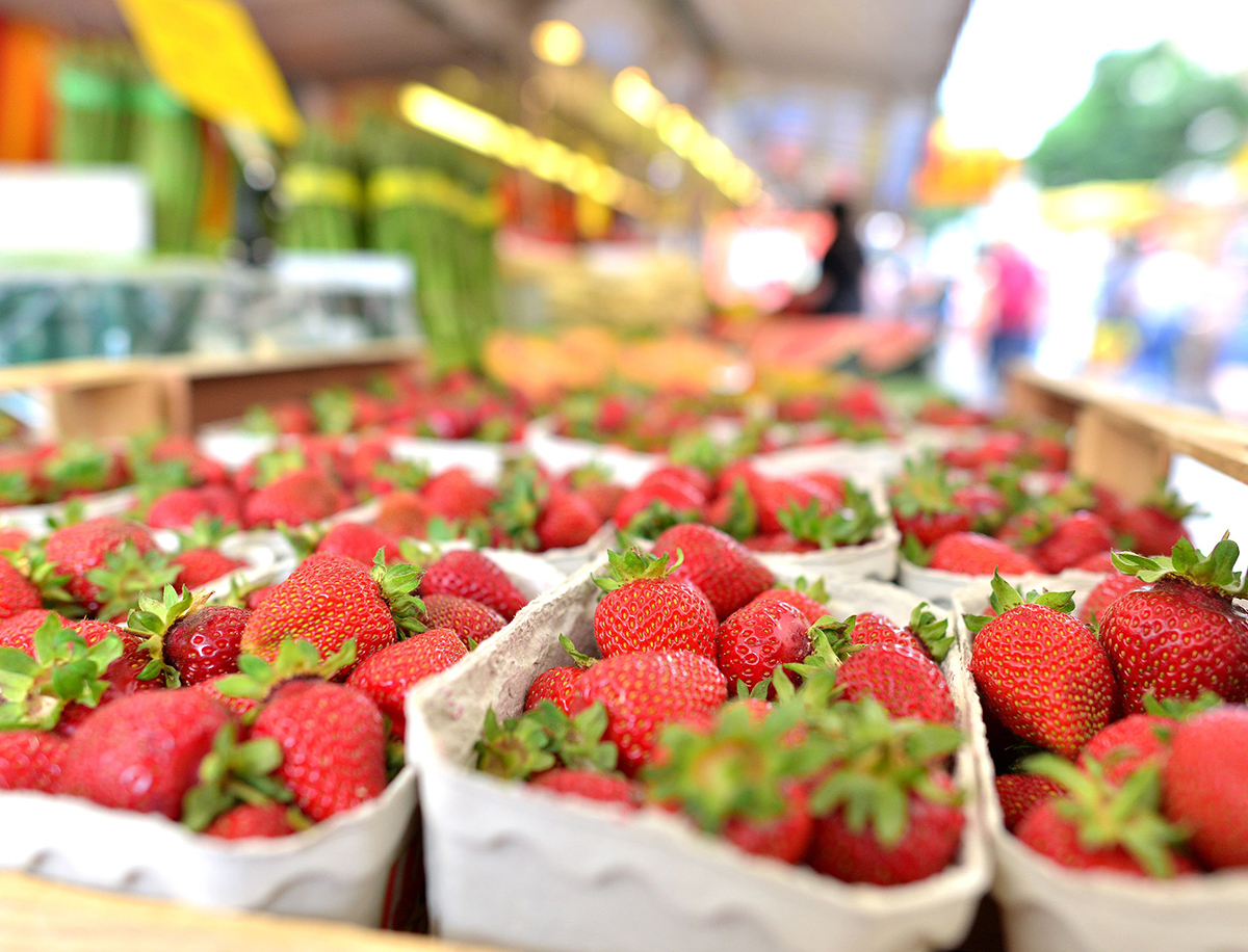 Gretzschel's Hofladen Produkte - Erdbeeren